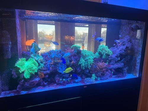 Hotel Le Beau Rivage 2