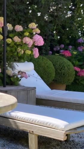 De Roos Leeuwarden 2