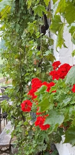 Hotel,Herberg & Appartementen de Smidse 3