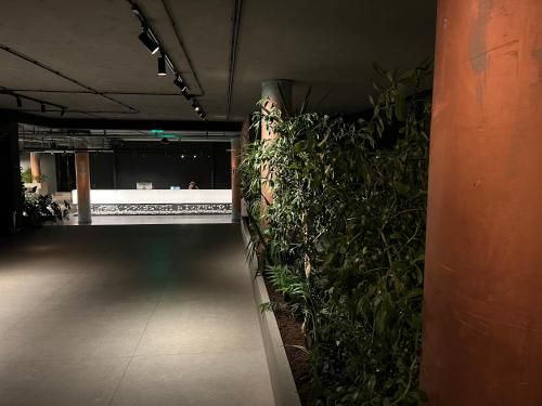 Hotel Doina 3 estrellas en Constanza