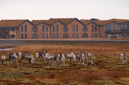 Hótel Jökulsárlón - Glacier Lagoon Hotel 3