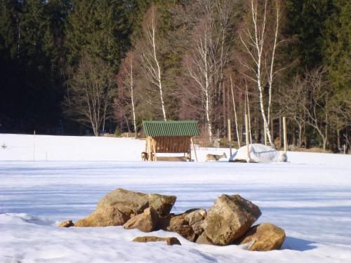 Trzy kultury Złoty Widok 2