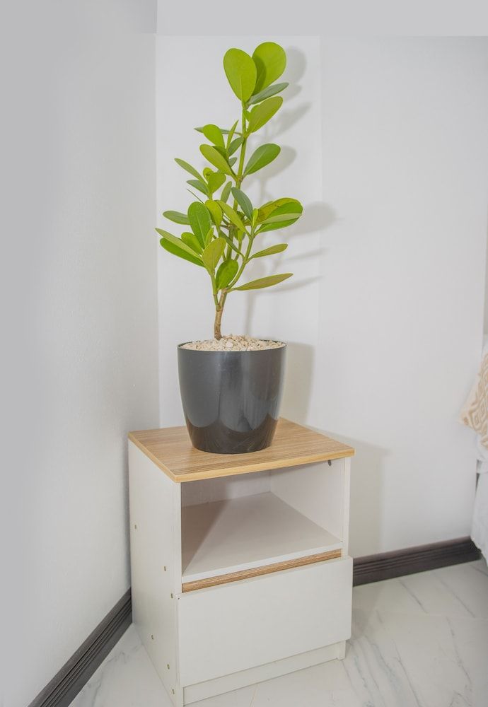 The Stay 2 estrelas em San José