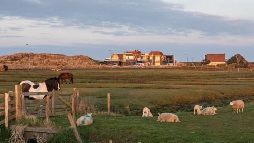 Strandhotel Camperduin 2