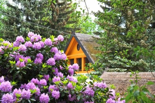 Hotelanlage Starick 3