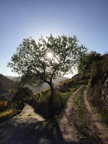 Hotel Gasthof Schuster und Gästehaus 1