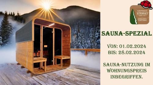 Steiert Panorama Apartments Todtnau 2