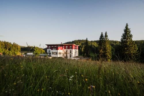 Das Waldhotel - Genuss & Wellness am Notschreipass 2
