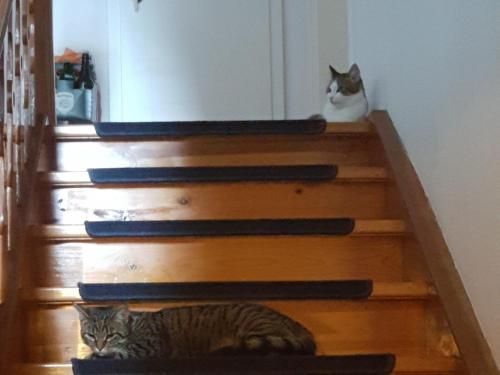 Landhaus Graßmann 2