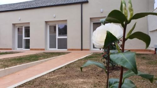 Apartamentos Turísticos Magencio 3