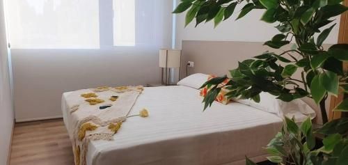 Apartamentos Antares 3 3