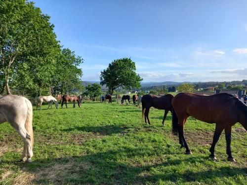 Hotel La Puerta de Arzúa 2