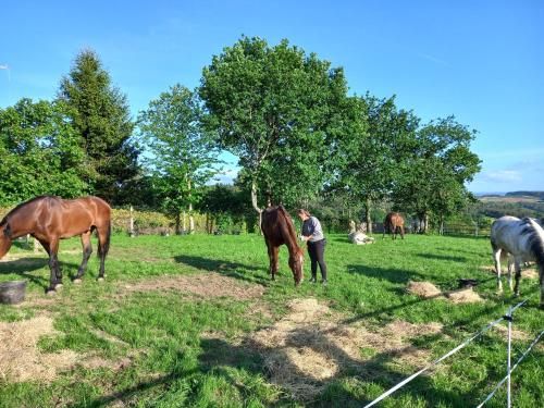 Hotel La Puerta de Arzúa 3