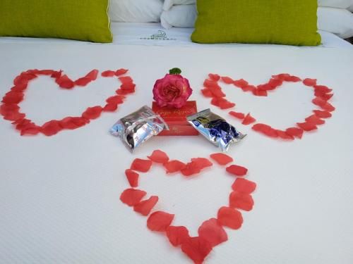 COSMOVEROS - Hotel Burbuja 3