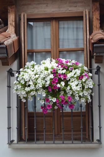 Apartamentos La Buhardilla 1