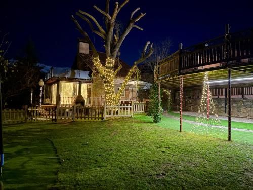 Apartamentos Alquitara 2