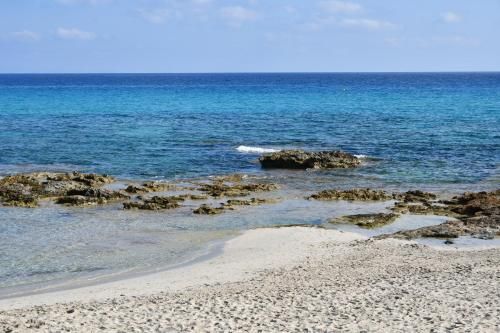 Apartamentos Cas Xurrac 2