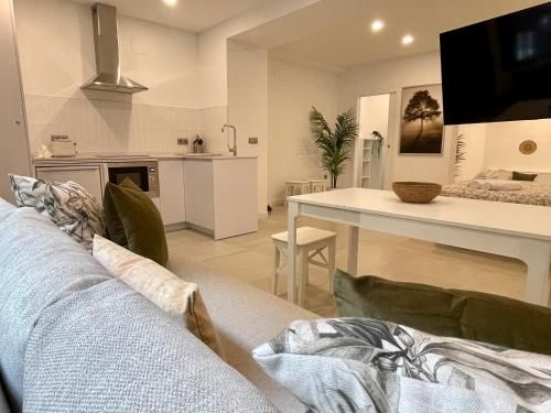 Apartamentos El Olivo 1