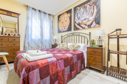 APARTAMENTOS DELUXE COLLARUBIO en Cercedilla 2