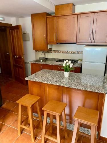 Apartamentos Puente La Molina 3