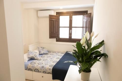 Apartamentos Sol Real 3