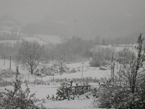 Apartamentos Estop 3