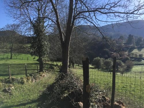 APARTAMENTOS LA LLONGAR 1