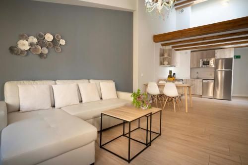 Apartamentos Terraza Ega 3