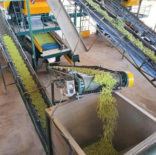 Apartamentos Turísticos El AOVE 2