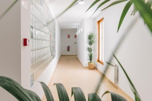 Vila Vilariño Albergue Hotel & Restaurante 2