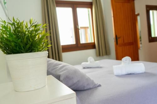 Apartamentos Gravina 1