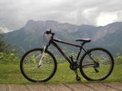 Apartamentos Los Rosales