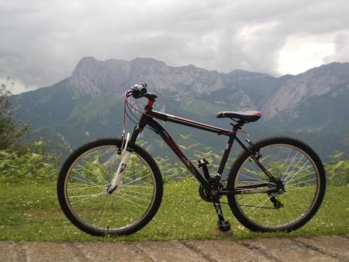 Apartamentos Los Rosales 1