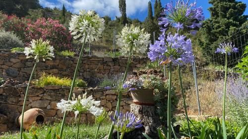 Apartamentos Casa Lola rodeados de montañas y rios 2
