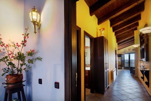 Apartamentos Teresana 3