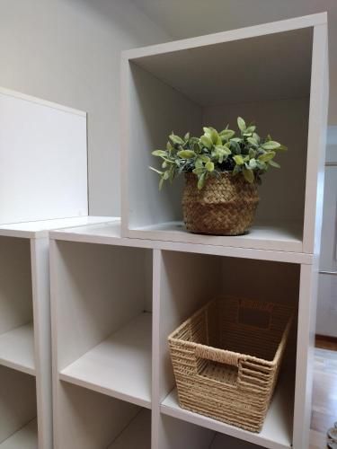 Apartamentos A Parada do Camiño Padrón 3