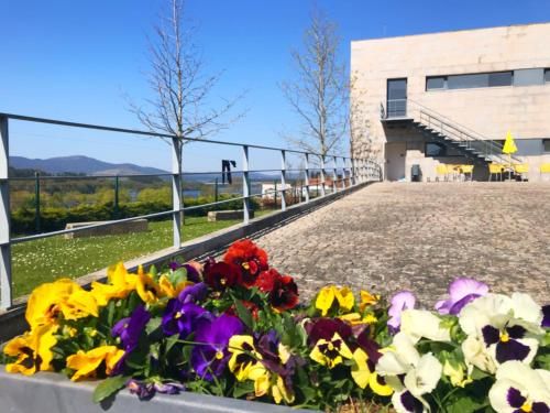 HI Vila Nova de Cerveira - Pousada de Juventude 3