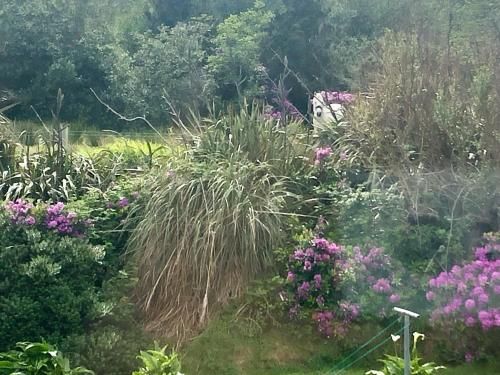 Buttermilk Lodge Guest Accommodation 3