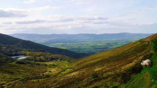 Newtown Farm Country House 3