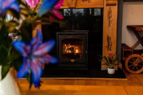 Twin Peaks B&B 4 estrellas en Doolin