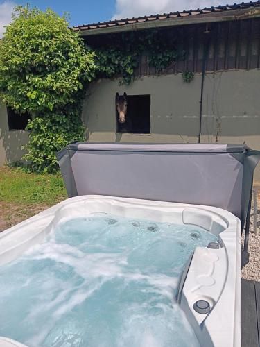 Annaharvey Farm B&B 2