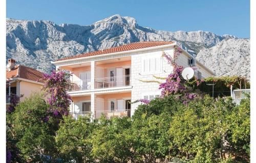 Apartments Zdravko 1