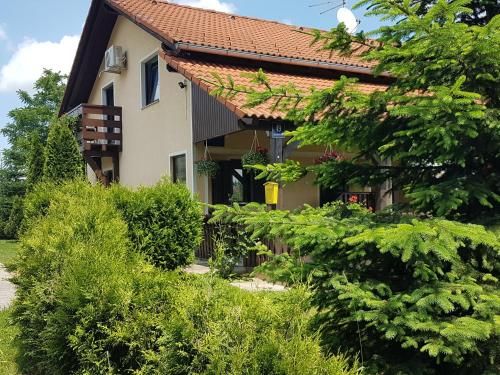 House Petra 2