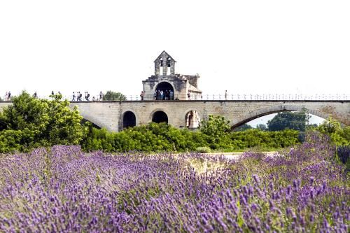 Camping les Avignon - la Laune 2