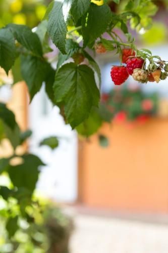 Gîtes de Charme Chez Christine 2