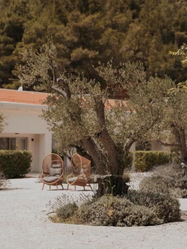 Scardona Park Luxury Accommodation 2