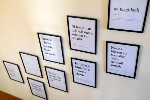 An Capall Dubh B&B Dingle 3