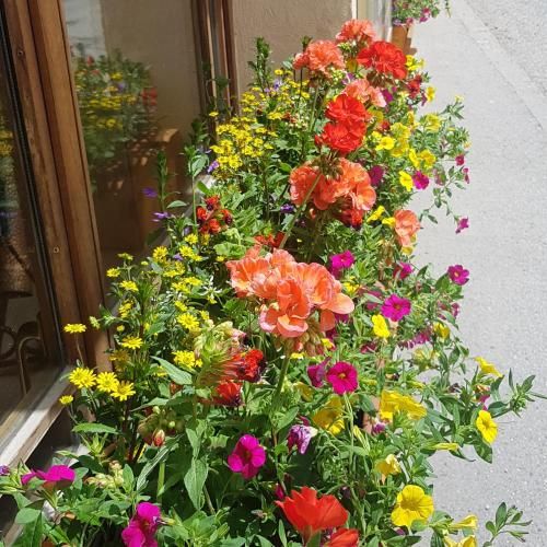 Hôtel-Chalet les Mélèzes 2