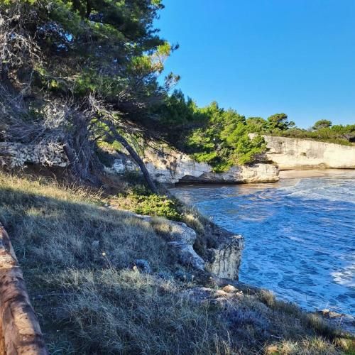 Althea Village Residence 2