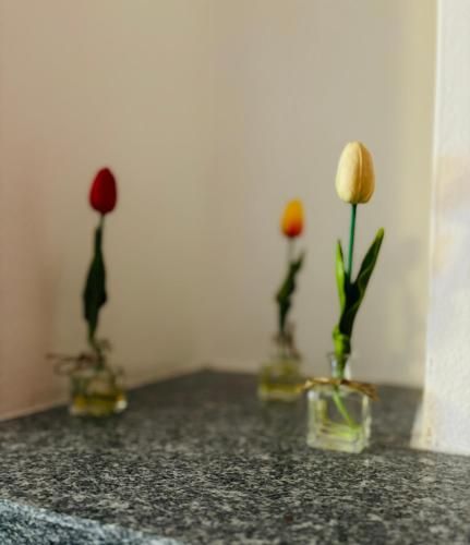 Residence Pizzo Scalino 3